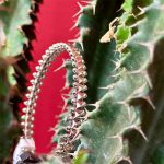 بنگل نقره طرح حصار - تصویر 2